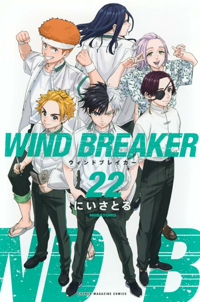 Wind Breaker