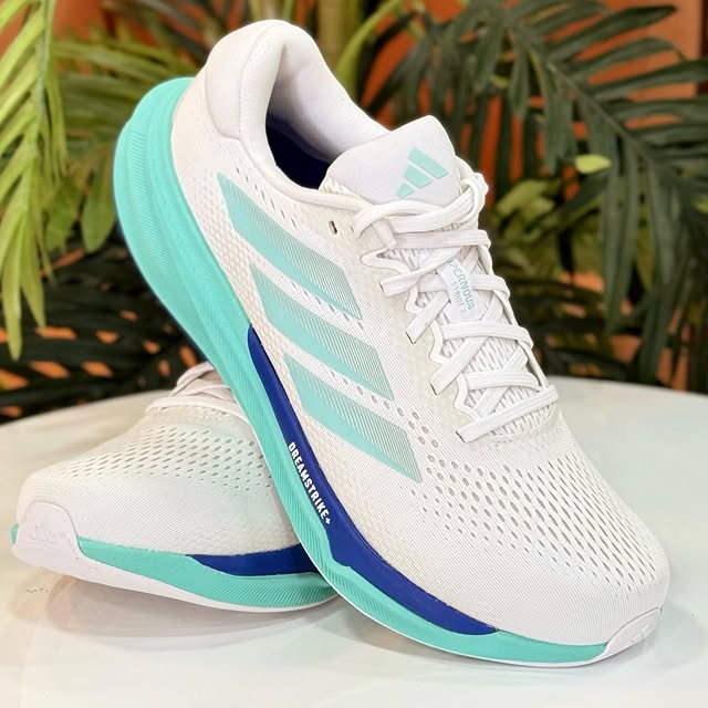 Variedade de Modelos na Lojas Ricardo's Lojas Ricardo’s - Variedade de Produtos