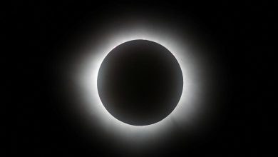 The Best Total Solar Eclipse Photos (2024)