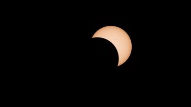 Can You View a Round Solar Eclipse Through a Square Hole?