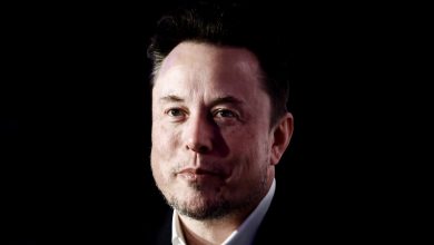 Elon Musk Is Platforming Far-Right Activists in Brazil, Defying Court Order