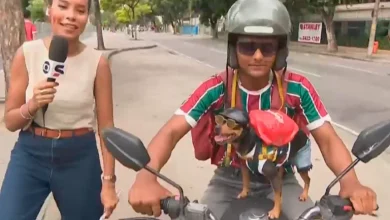 Mel Rodrigues, a cachorrinha “motogirl” do Fluminense que faz entregas com seu dono