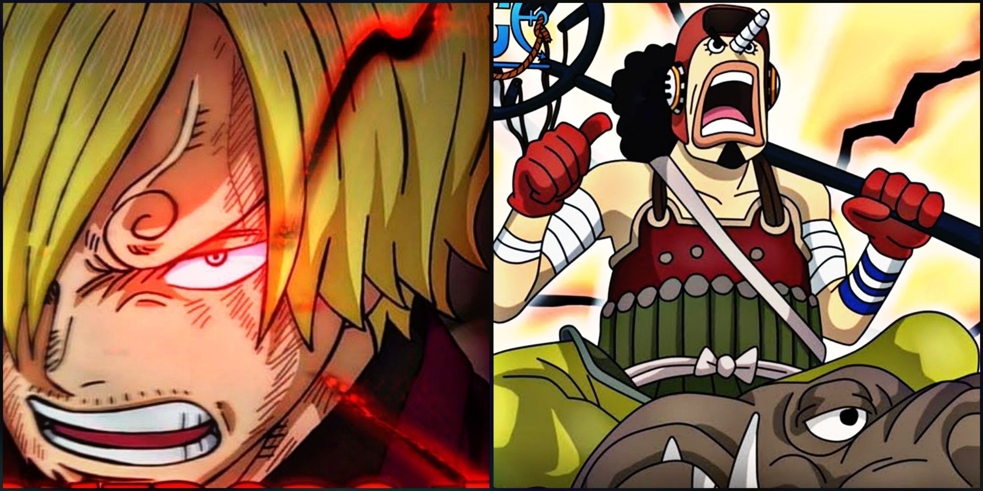 Sanji Usopp Conqueror