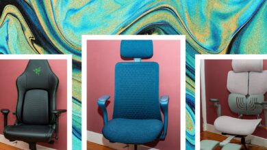 13 Best Office Chairs (2024): Budget, Luxe, Cushions, Casters, and Mats