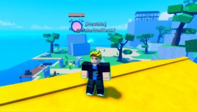 Roblox Real Blox Fruits Standing On Yellow Roof With Pink Mirror Behind