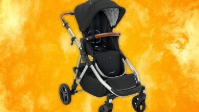 10 Best Strollers for Almost Every Budget and Need (2024): New Top Picks!