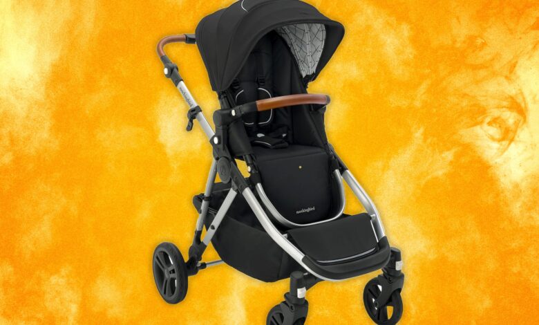 10 Best Strollers for Almost Every Budget and Need (2024): New Top Picks!