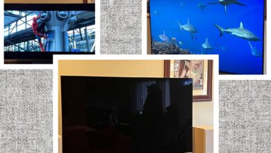 The 10 Best TVs We’ve Reviewed, Plus Buying Advice (2024)