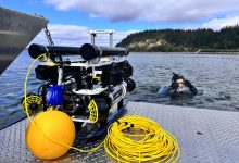 Meet Grasshopper, an underwater robot helping restore critical eelgrass meadows – GeekWire