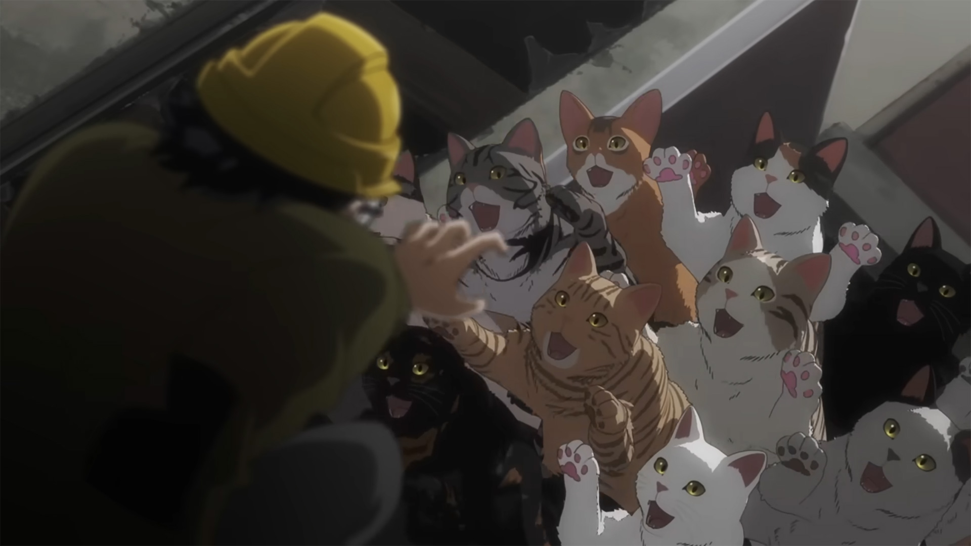 Trailer revela data de estreia do anime Nyaight of the Living Cat