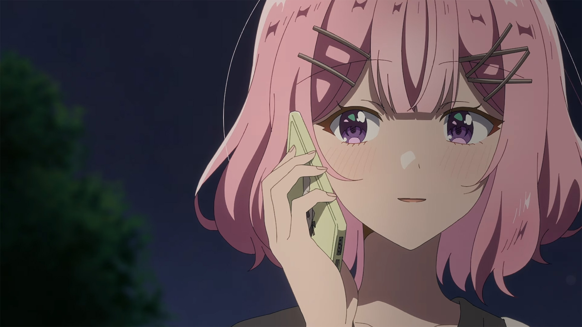 Anime yuri WATANARE vai ter continuação