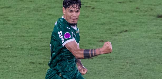 Título do Brasileirão: Chances após os jogos do Flamengo e Palmeiras