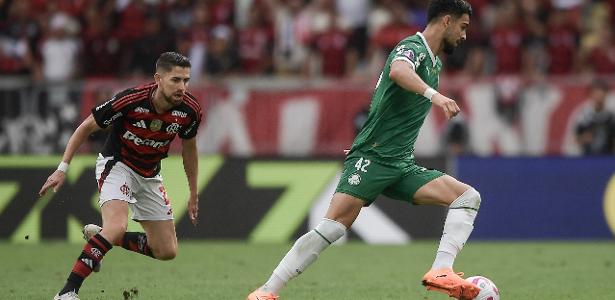Flamengo e Palmeiras estão em empate técnico na disputa pelo título; confira!