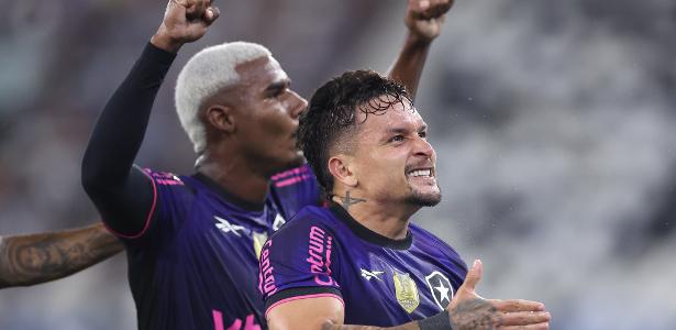 Botafogo derrota o Grêmio e assegura vaga na próxima Libertadores