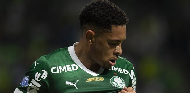 Palmeiras amplia vantagem e pretende desestabilizar o Flamengo na Liberta