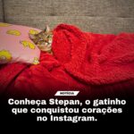 1766811310 560103451 18535818631014390 4694166187498926540 n