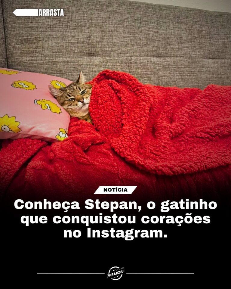 Com seu olhar enigmático, Stepan, o gato ucraniano que conquistou…
