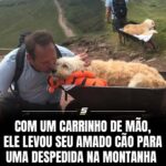 1766819114 561908456 17918066373190473 5415127429761401956 n.heic