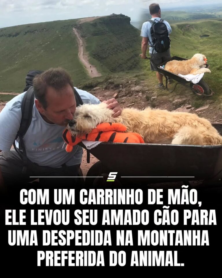 Uma história de ternura e coragem: Carlos Fresco e seu fiel labrador