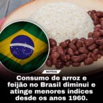 1766834713 559370622 18535497517014390 636675326574993479 n